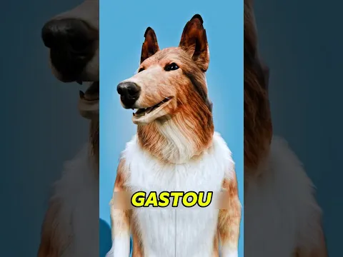 o traje de cachorro mais realista do mundo