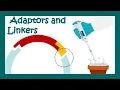Linkers and Adaptors for Cloning molbio in 3 minutes cloning adaptors