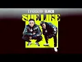 Download Lagu Darkoo x Blanco - She Like [Official Audio]