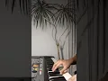 Love of My Life (Avery Lynch acoustic cover)