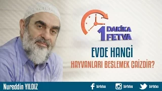 Evde Hangi Hayvanları Beslemek Caizdir?