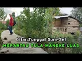 Download Lagu gitar tunggal sumsel Sedih \