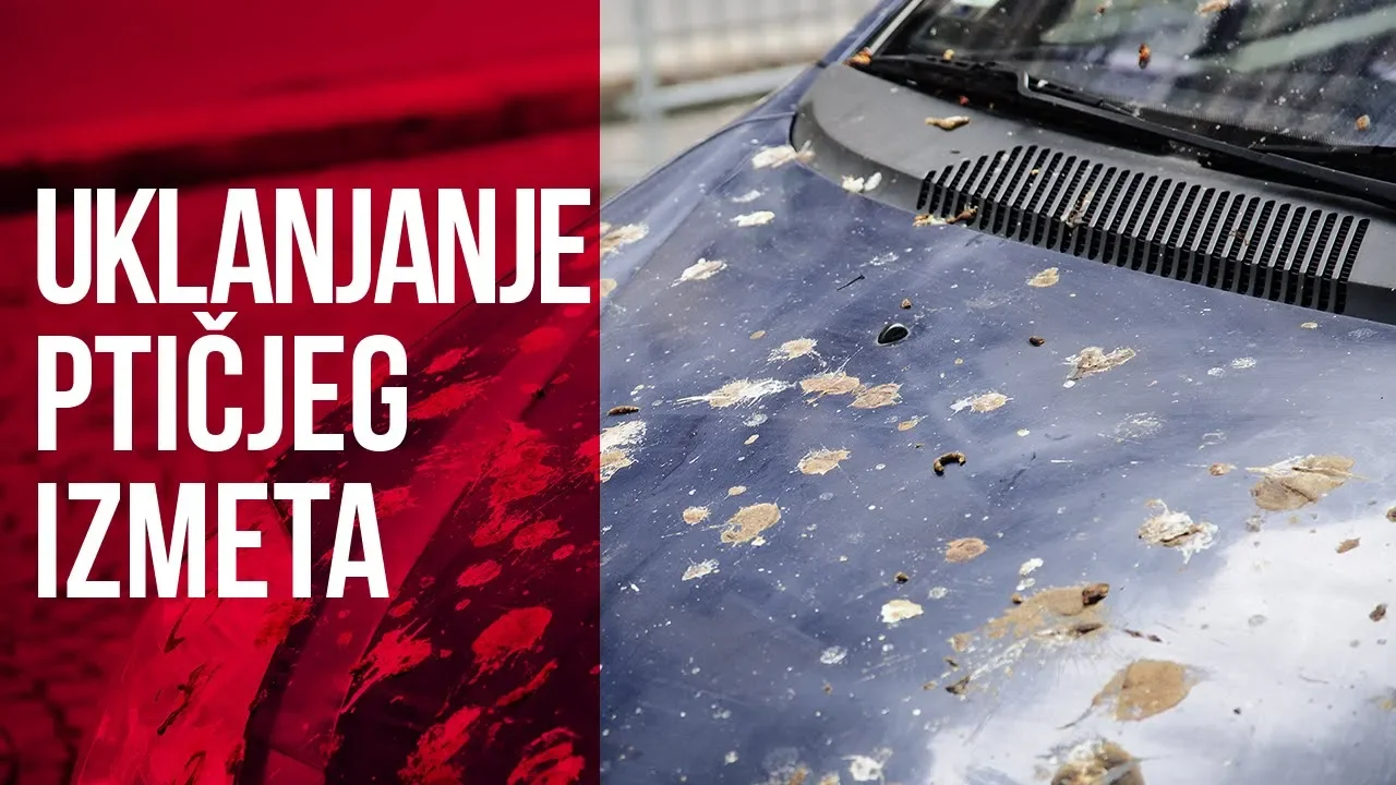 Kako da uklonite ptičji izmet
