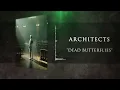 Architects - Dead Butterflies