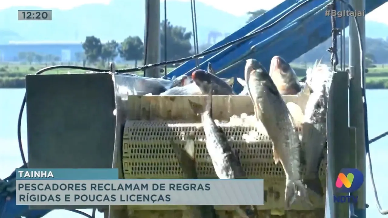 Pescadores reclamam de regras rígidas e poucas licenças para pesca da tainha