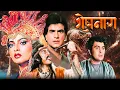 Lagu 80s Cult Classic Movie - Sheshnaag [4K] Jeetendra, Rishi Kapoor, Rekha, Mandakini | Full Hindi Movie