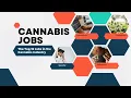 The Top 10 Jobs in the Cannabis Industry