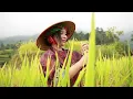 Living in harmony with nature: The simple life of a young girl from the countryside.