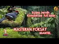 Download Lagu Burung poksay mantel gacor bahan ampuh untuk pancingan