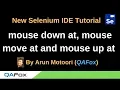 New Selenium IDE - Part 68
