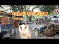 Download Lagu MELIHAT MACAM² HEWAN DAN BURUNG DI PASAR SPLENDIT MALANG