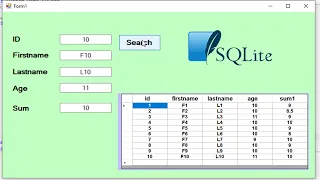 SQLite Database in VB NET Retrieve Data Step by Step