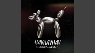 HAVHAVHAV Radio Edit 