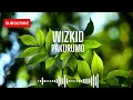 Wizkid | Pakurumo | OptiLyrics