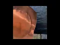 Piling Copper Cap Install