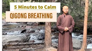 5-Minute Qigong Breathing Exercise | Calm Your Mind, Feel Grounded 