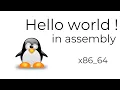 Hello world in assembly NASM x86 - 64