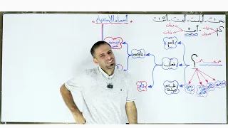 الاستفهام: المحاضرة (٢٢)
