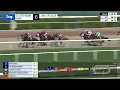 Gulfstream Park January 24 2026 Race 6