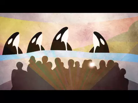#OceanWalls - An Empty the Tanks Solution!