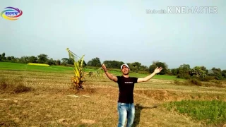 aye dost ye dua meri taufa ha pyar ka mp4 hd song sarga studio tetarhat bihar