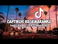 Download Lagu CAPTIKUS KEGEMARANKU - FHADEL DEADBOY (DISCO TANAH REMIX)  DJ TIKTOK TERBARU 2021