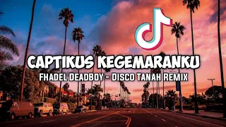 Download CAPTIKUS KEGEMARANKU - FHADEL DEADBOY (DISCO TANAH REMIX)  DJ TIKTOK TERBARU 2021 MP3