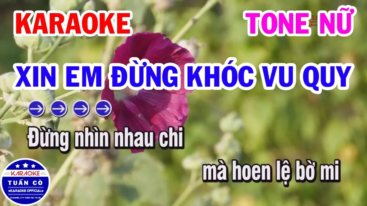 Karaoke Xin Em Đừng Khóc Vu Quy | Nhạc Sống Tone Nữ Dễ Hát | karaoke Tuấn Cò