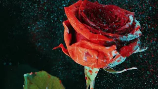 martin garrix u0026 david guetta so far away feat jamie scott u0026 romy dya bad decisions remix 