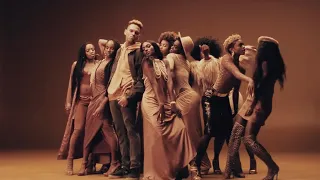 chris brown brown skin girl ft sean paul