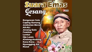 bengawan solo