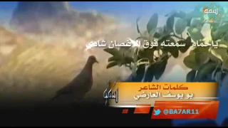 شيله ياحمام سمعته فوق الاغصان شادي  شيله ياحمام سمعته فوق الاغصان شادي