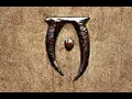 Download Lagu Tevvez - Oblivion (Slowed + Reverb)