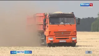 Омские аграрии подсчитывают убытки из-за жары