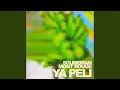 Download Lagu Ya Peli