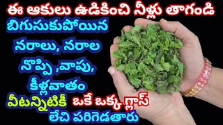 ఈ ఆకులు ఉడికించి నీళ్లు తాగండి బిగుసుకుపోయిన నరాలు నరాల నొప్పి వాపు కీళ్లవాతం వీటన్నిటికీ లేచి పరిగె