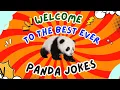 Best Ever PANDA Jokes