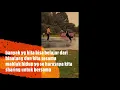 Download Lagu BURUNG BISA SHARE HIDUP TANPA HARUS DI KURUNG DAN KITA BISA MAIN DGN BINATANG KESAYANGAN KITA
