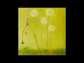 Dandelions (Official Audio)