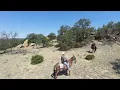 Cowboy Coming Home in the Wilderness