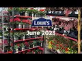 NEW Summer Plant Shipment Lowes Garden Center