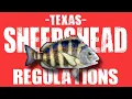 Sheepshead Regulations in Texas 2022