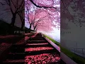 Download Lagu A Thousand Years - Christina Perri | Lyrics | Aesthetic | English Song 🌸 🌸