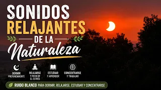 Sonidos Relajantes de la Naturaleza 💤 Ruido Blanco para Dormir, Relajarse, Estudiar y Concentrarse
