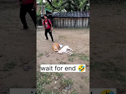 ये लड़का यहां क्या कर रहा है।  #shorts