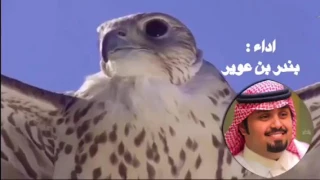شيله الطير حرض كلمات ال جمميلة اداء بندر بن عوير دندنها