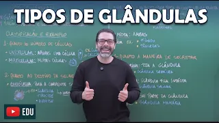 TIPOS DE GLÂNDULAS - Classificações do tecido epitelial glândular | Biologia com Samuel Cunha