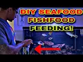 Download Lagu 150 GALLON PREDATOR SALTWATER FEEDING **DIY SEAFOOD** MUST SEE