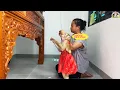 Download Lagu So smart! Monkey Lyly obediently taught customs by her mother and then...