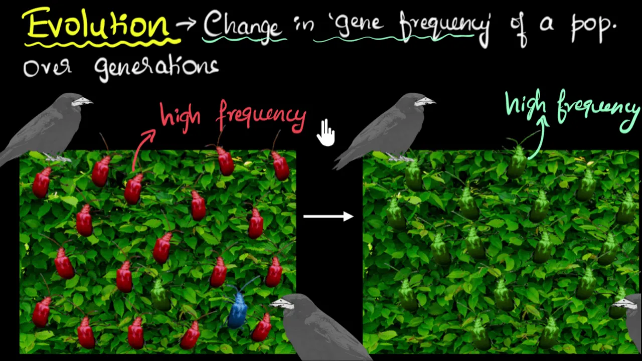 Evolution & natural selection | Heredity & Evolution | Biology | Khan Academy